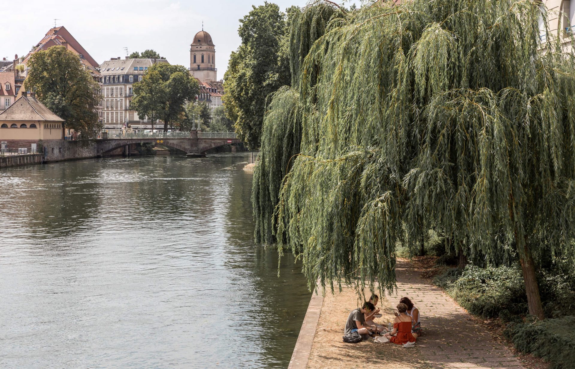 Sustainability Microsite